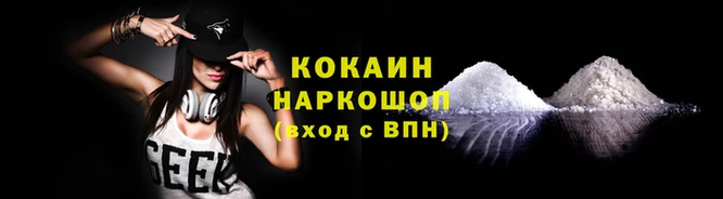 дживик Магас