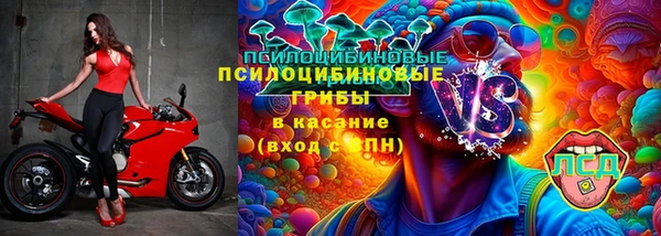 дживик Магас