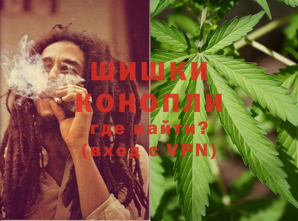 PSILOCYBIN Лихославль