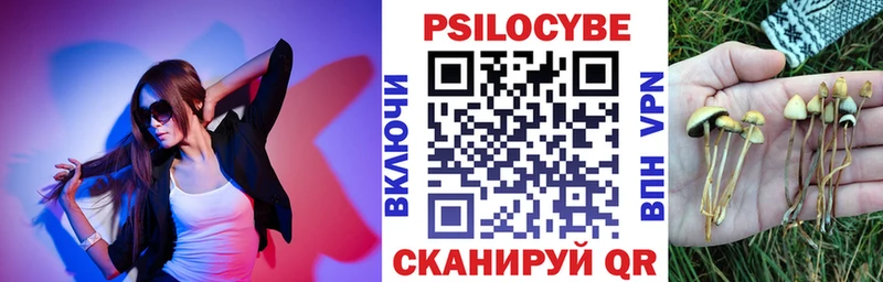 Купить  Ишим  Псилоцибиновые грибы прущие грибы 